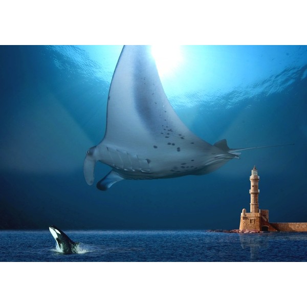 MNTA-010A1 Painting Wallpaper Poster (Removable Sticker) Manta and Orca Competition, Art, Onion Macchiei, Orca Lighthouse, Sea, Caracro, (A1 Edition, 32.7 x 23.0 inches (830 x 585 mm), Architectural Wallpaper + Weather Resistant Paint (Made in Japan) Wal
