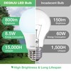 DEGNJU LED Light Bulbs Daylight 5000K, 60 Watt Equivalent LED