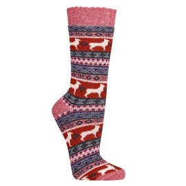 socks4fun 2 Pairs of Warm Wool Socks with Alpaca and Merino Wool Peru, Colourful