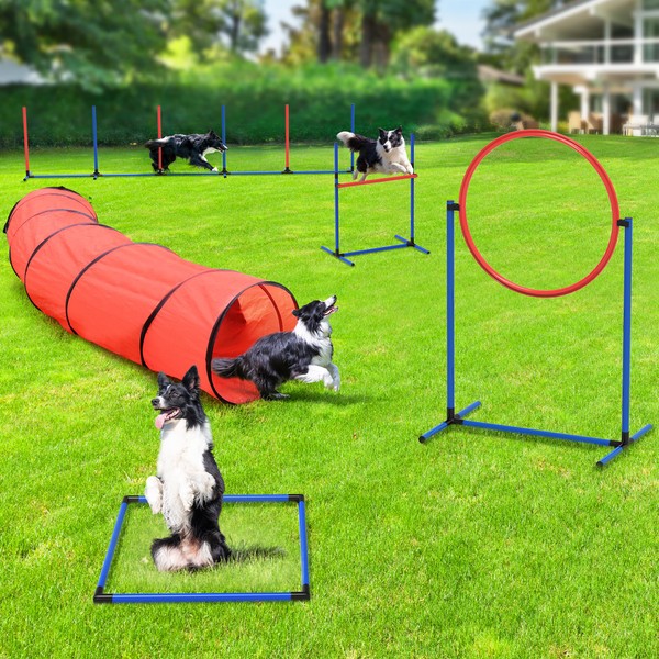 YITAHOME Dog Agility Equipments: Includes Flirt Pole, 3 Flying Discs,