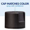 Rust-Oleum 257462-6PK Painter's Touch 2X Ultra Cover Spray Paint, 12