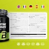 BioTechUSA 100% Creatine Monohydrate | Pharmaceutical-Grade Creatine | Micronized |