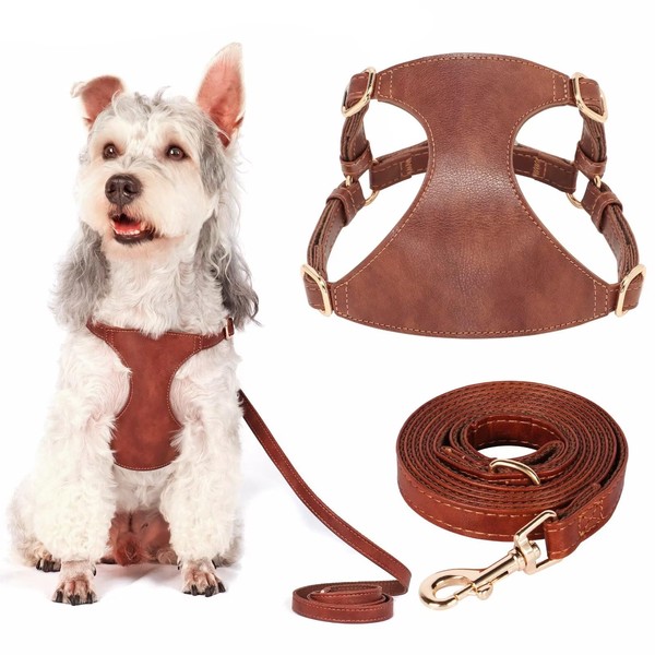 Didog No Pull Dog Harness for Small Dogs, Soft &