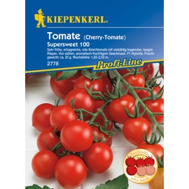Cherry tomato Supersweet 100, F1, very early yielding cherry tomato with many bearing long panicles