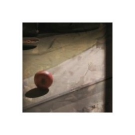 幽閉者(テロリスト)