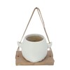 Swing Hanging Planter Cartoon Decorative Cute Swing Hanging Planter for