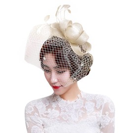Women Girls Bowknot Fascinator Hat Feather Mesh Net Veil Headband Bridal Dot Veil Headpiece Bridal Wedding Party Hat Hair Hairpin Hairband Vintage Cocktail Tea Party Headwear Ladies Hair Accessories