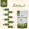 Holy Earth Senna Leaves Powder 100g/3.5 oz | Natural, Gluten-Free,