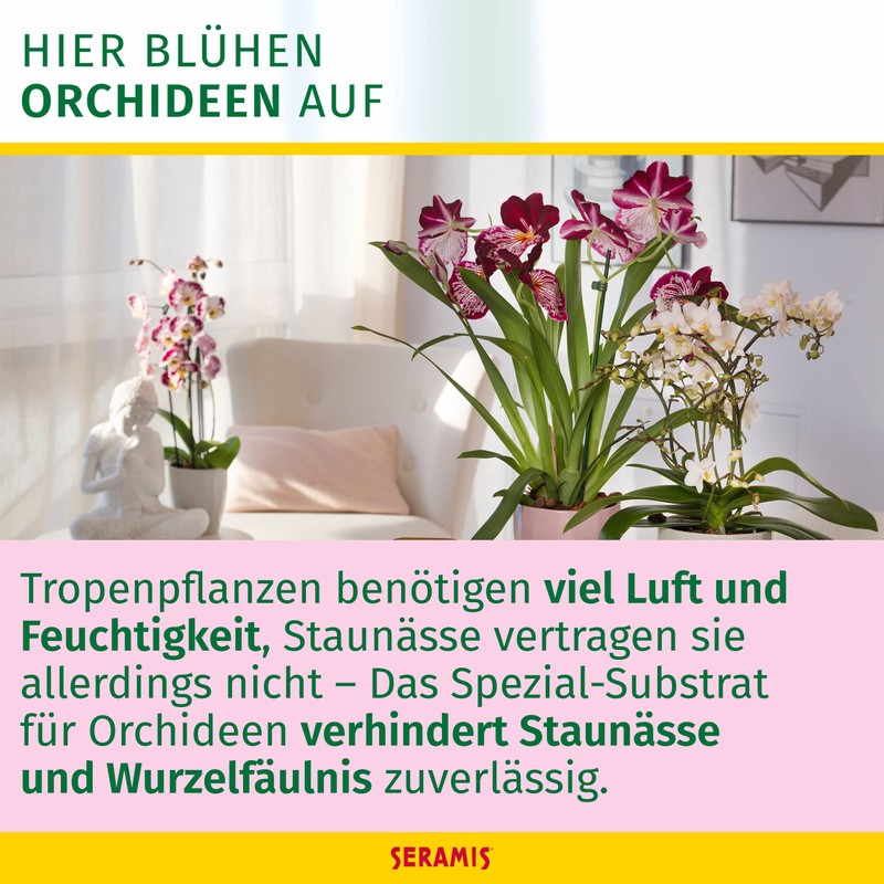 Seramis clay Granulated for orchids, special substrate