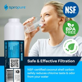 SpiroPure Inline Filter NSF Coconut Shell Granular Carbon Water Filter with 1/4" FNPT, 2" x 10" (1 Pack)