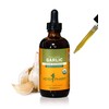 Herb Pharm Certified Organic Garlic Liquid Extract for Cardiovascular and