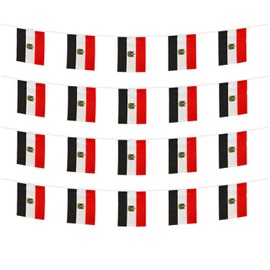 FFILL Egypt Banner Flag String, Egypt Mini Flag Small Banner, for Party, Shops and Bars Decorations, And International Day Celebrations. (Egypt)