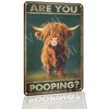 VOTHI Highland Cow Tin Signs ; Are You Pooping;Funny Bathroom