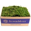 SuperMoss (25325) Forest Moss Preserved, Fresh Green, 3 Pounds
