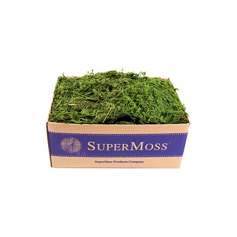 SuperMoss (25325) Forest Moss Preserved, Fresh Green, 3 Pounds