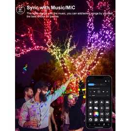 echosari Smart String Lights 100 LED 33Ft RGB Built in Chip Fairy Lights with Remote & App Control, 16 Million Color Changing Christmas Trees Lights Music Sync (Dark Green Cable)