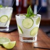 FixtureDisplays Monin Premium Key Lime Pie Flavoring Syrup 1 Liter