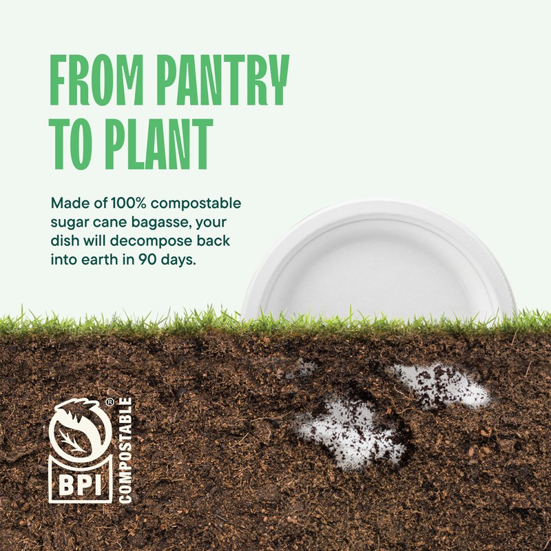100% Compostable Paper Plates 10 Inch Bulk [500 Count] Heavy-Duty