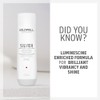 GOLDWELL Dualsenses Silver Shampoo 250 ml