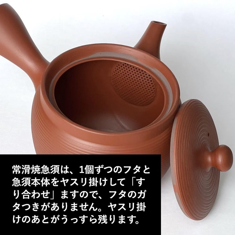 Tokoname Ware Sera Mesh Large Teapot, 16.9 fl oz (480