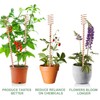 10 Pack 13.5" Electroculture Plant Stakes, Long Copper Garden Stakes,