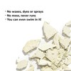 Color Wow Root Cover Up Root Powder, Hair Concealer, Concealer,