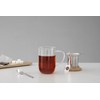 VIVA Minima Balance Glass Infuser Tea Cup - 17 oz