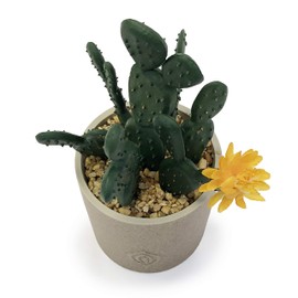 Allgala Small Desktop Artificial Succulent Plant with Natural Clay Pot