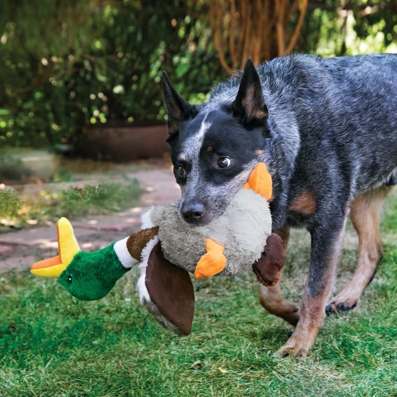Juguete para Perro Kong/Sharkers Honkers Pato Small