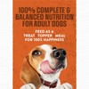 Burger with Cheddar Cheese Flavor Dry Soft Dog Food Pouches,
