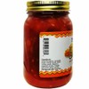 Traverse Bay Farms Nationally Award-Winning Salsa (Mango, 1 Jar)