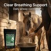 Freestep RespriFree Horse Respiratory Supplement, Rosehip, Magnesium, Cough