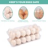 50 Pack Clear Plastic Egg Cartons Bulk, 1 Dozen 2x6