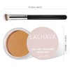 LOKFAR Concealer Full Coverage Kit with Brush, Under Eye Concealer