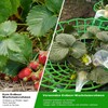 Strawberry Support Stand, Pack of 10 Strawberry Rippers and Fruit