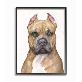 Stupell Industries Pit Bull Dog Pet Animal Watercolor Painting Black Framed Wall Art, 24 x 30, Multi-Color