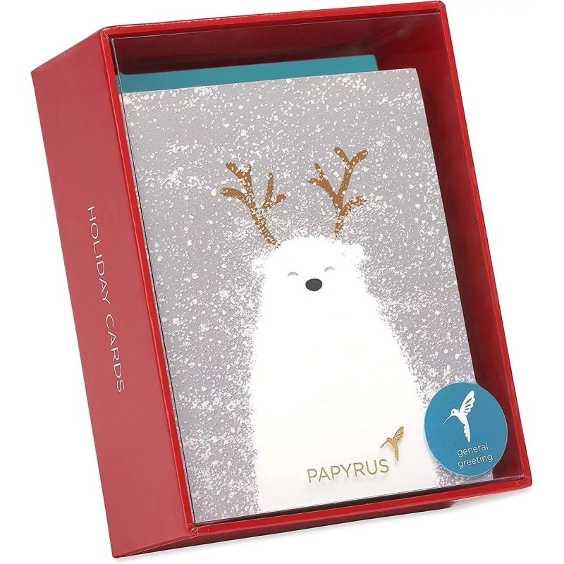 Papyrus - Caja Con Tarjetas De Navidad, Diseño De Oso