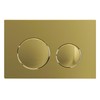 SPARES2GO Luxury Flush Plate Kit for Concealed Toilet Cistern Wall