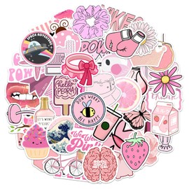 100pcs VSCO Coquette Stickers, Lovely Pink Girl Stickers Aesthetic Decal Graffiti Stickers Birthday Decoration Coquette Room Decor for Laptop Water Bottle Kids Teens Girls (Style 1)
