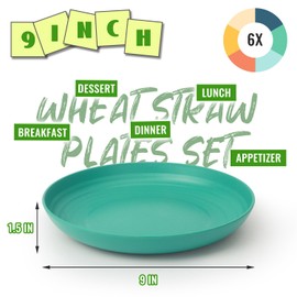 Perlapoc Wheat Straw Plates, 9 in Deep Dinner Plates Set of 6, Alternative Plastic Plates Reusable, Unbreakable Microwave and Dishwasher Safe Kids Plate for Kitchen, Camping, Multi