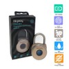 NetBolt 11-1117 Gold Fingerprint Padlock