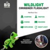 Sun Company Wild Light Animal Carabiner Flashlight | Mini Animal
