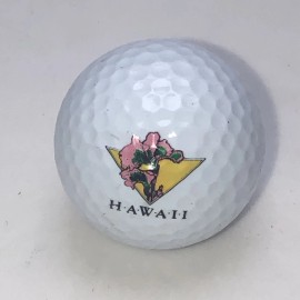 Spalding Hawaii Logo Golf Ball (1) Spalding New Without Box