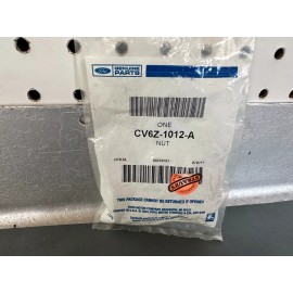 Ford OEM NOS CV6Z-1012-A Wheel Nut 15 Inch Wheel 2012-2018 Focus Titanium