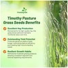 Outsidepride Climax Timothy Pasture Grass Seed - 25 Lbs. Perennial,