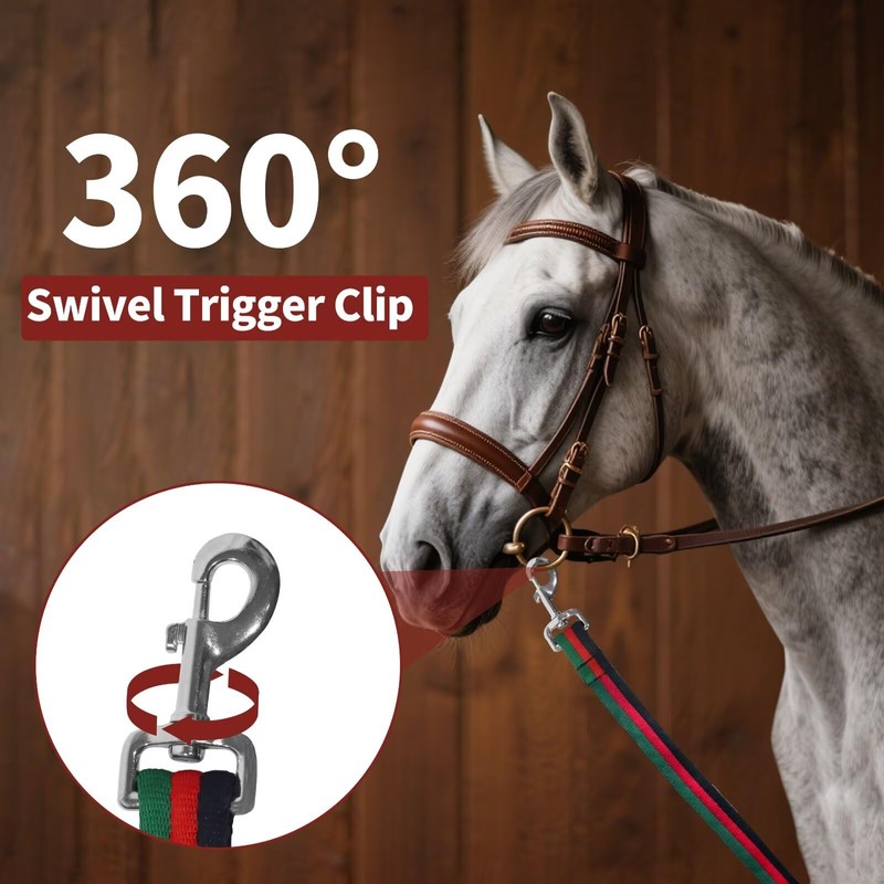 Lunge Line for Horse, Premium Equine Lunge Line with Swivel