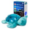 Cloud b Tranquil Turtle Aqua - White Noise Machine Baby,