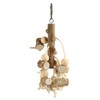 Bird Chewing Toys Hanging Natural Wood Parrot Swing Chewing Toys