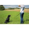 Activity4Dogs Dog Lead, Nylon, Anti-slip, Non-slip, 2.80 m long, Adjustable