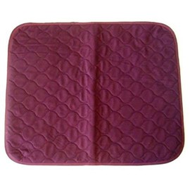 NRS Healthcare Chair Pad Incontinence Protection - Wine (Eligible for VAT Relief in The UK)